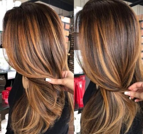 brown hair with highlights